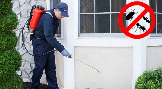 Sorgun Hamam Böceği İlaçlama böcek ilaçlama ve haşere kontrolü — ilaclama-tr.com